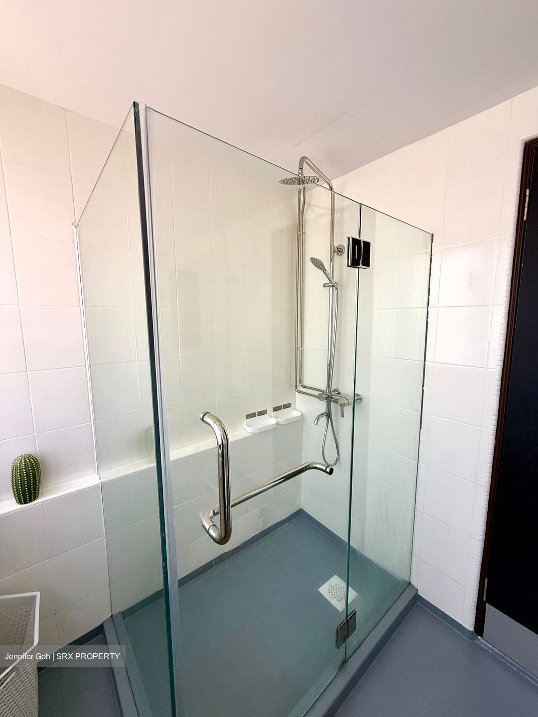 Lucky Plaza (D9), Apartment #554192741